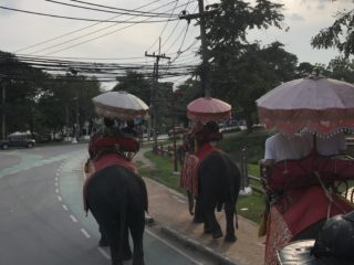 タイ旅行で「VELTRA」を使ってココナッツファーム、アユタヤ遺跡、象乗りツアー